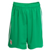LFC Goalie Shorts 08-09