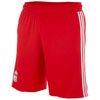 LFC Goalkeeper Home Kit and Shirt 2010-12