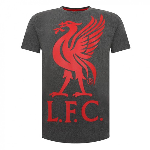 LFC Mens Charcoal Liverbird Tee