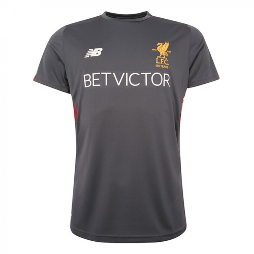 Liverpool FC Grey Training Short Sleeve Shirt Liverpool FC Grey Training Short Sleeve Shirt